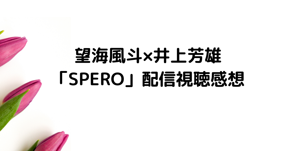 望海風斗 井上芳雄 Spero 配信視聴感想 二人で仲良くシャンシャンふりふり 観劇ブログ Ss席s席a席b席